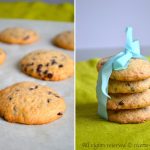Thermomix chocolate chip cookies