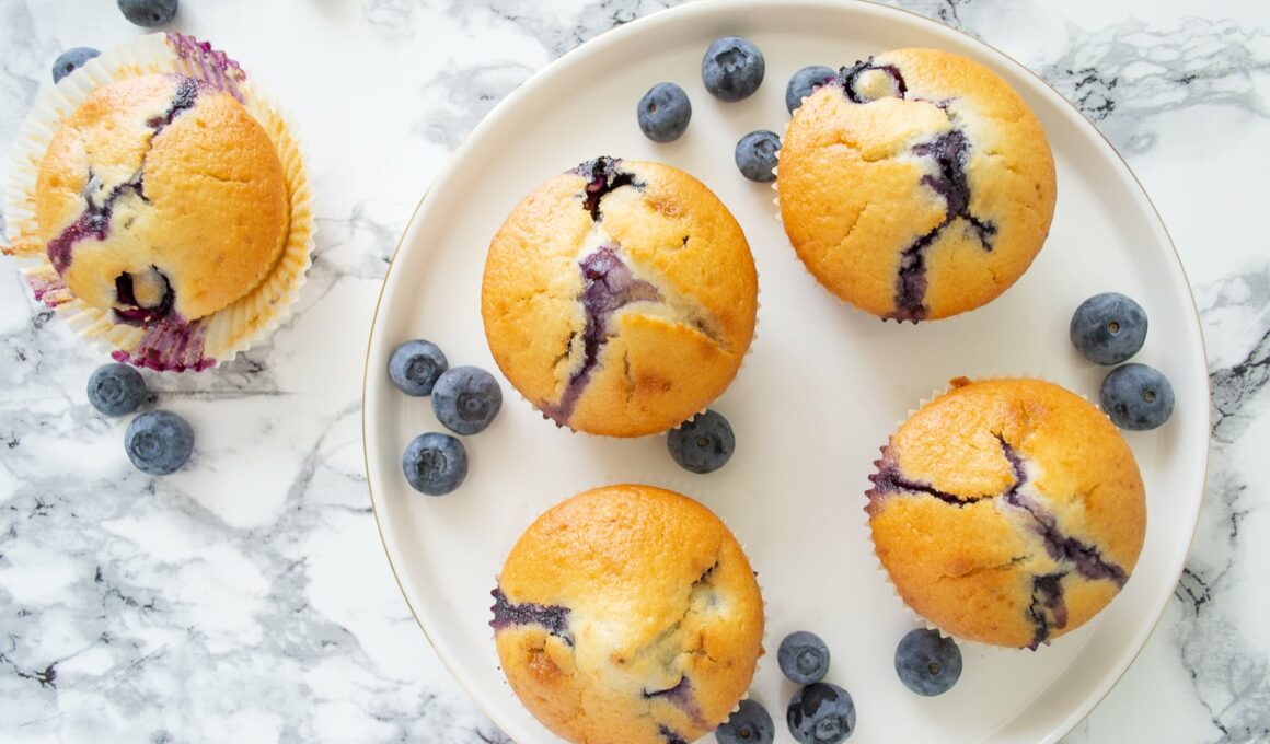 Thermomix Blueberry muffin