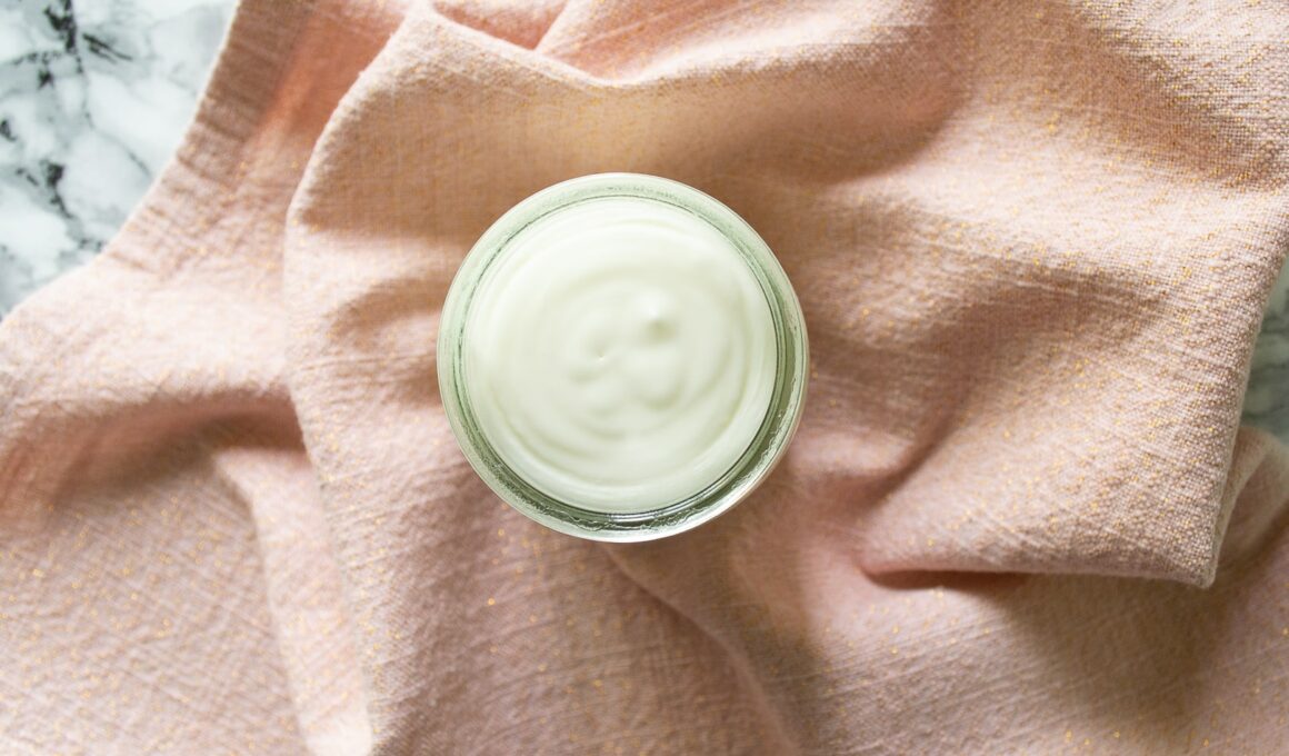 Thermomix Sour cream