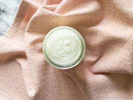 Thermomix Sour cream